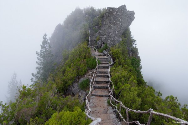 Деревянный мост в тумане