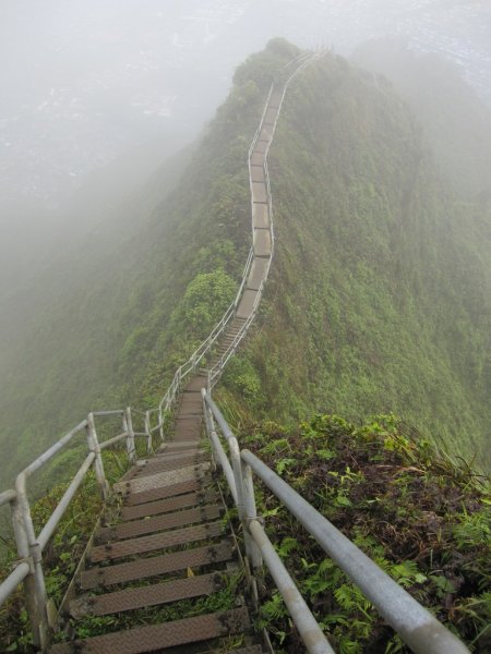 Trixie 5186 верёвочная лестница для попугаев 40см 500 гр