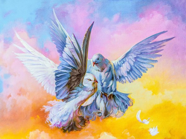 Влюбленные голуби