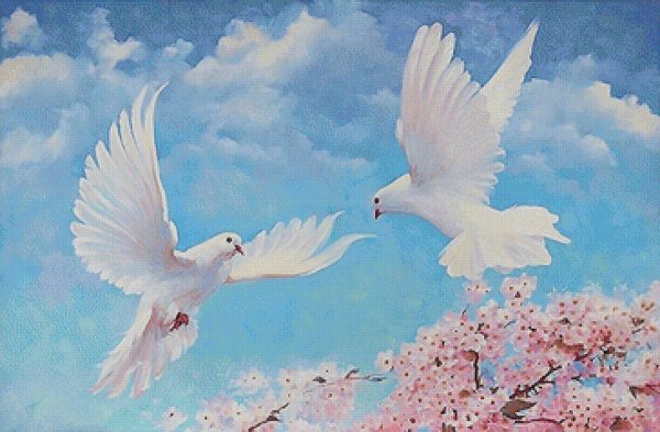 Голуби в небе