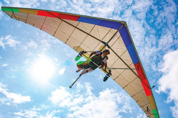 Безмачтовые дельтапланы