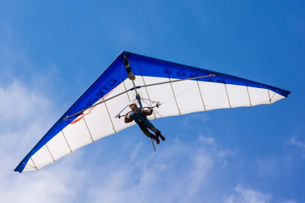 Безмачтовые дельтапланы