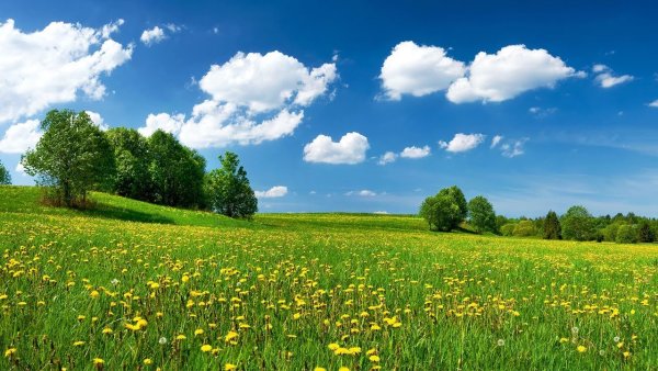 Речные заводи фотопейзажи