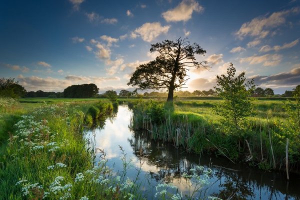 Палусские Луга