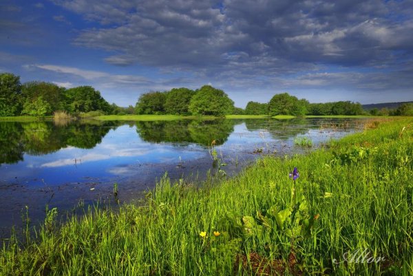 Лето Марий Эл