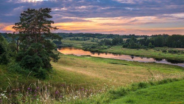 Природа летом