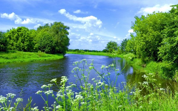 Панорама Луга