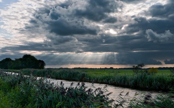 Поля Удмуртии