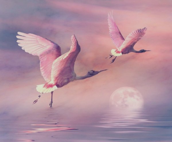 Голубое небо с журавлями