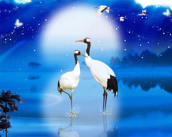 Полет журавлей