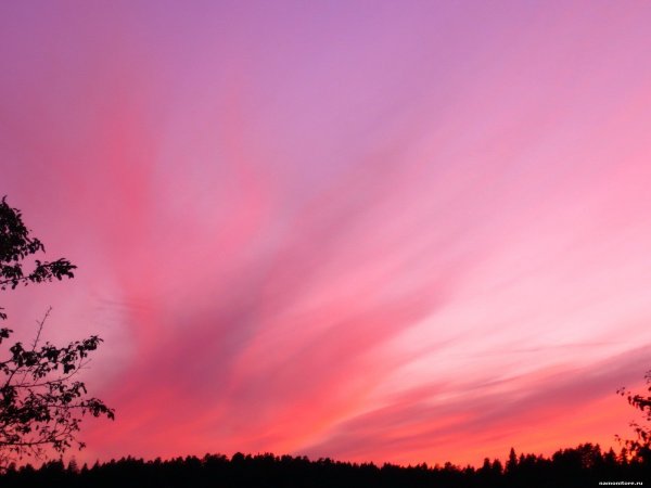 Нежный закат