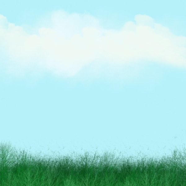 Картинки трава и небо фон (65 фото) » Картинки и статусы про окружающий мир  вокруг