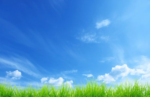 Фон трава и небо