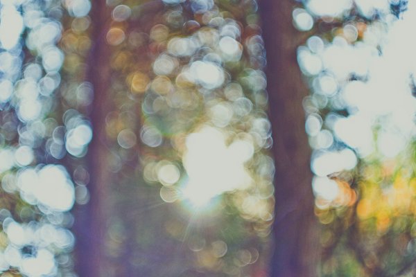 Размытый фон