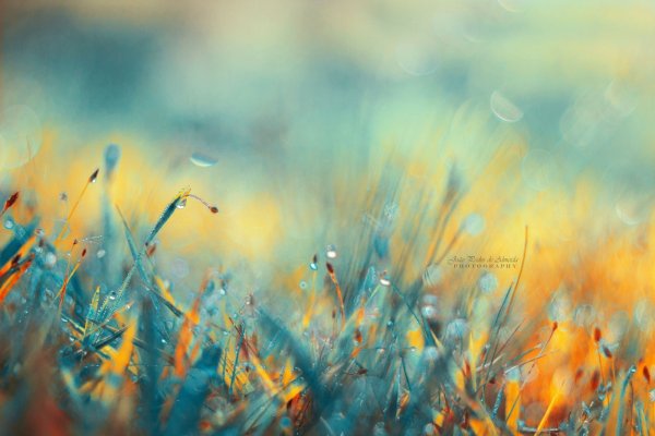 Размытый фон