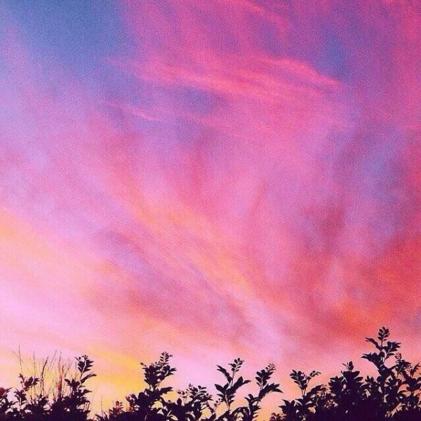 Розовый закат