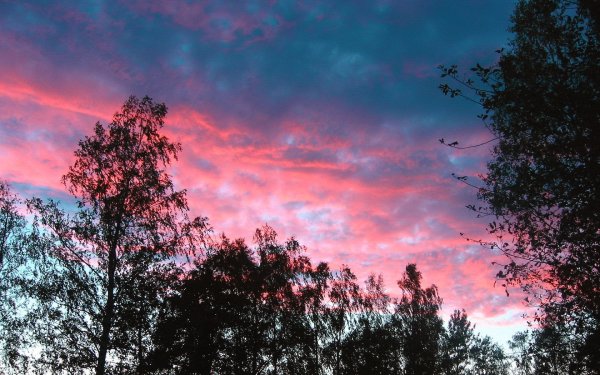 Розовое небо