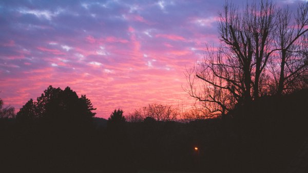 Эстетика бледно розового