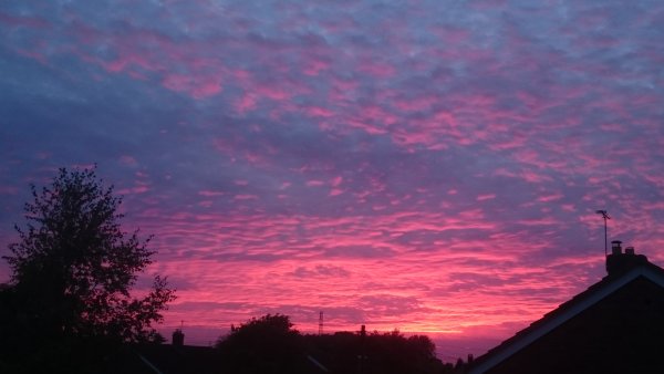 Фиолетовое облако