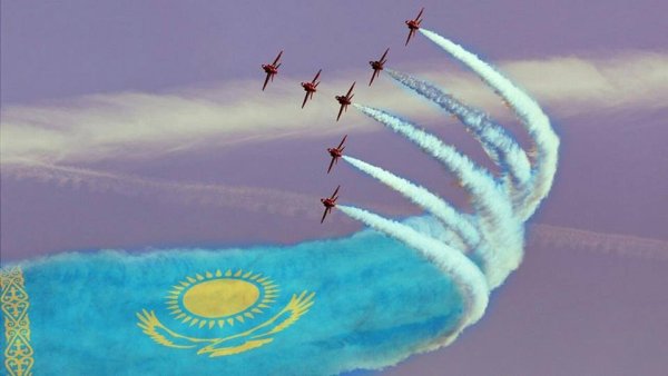 Голуби в небе