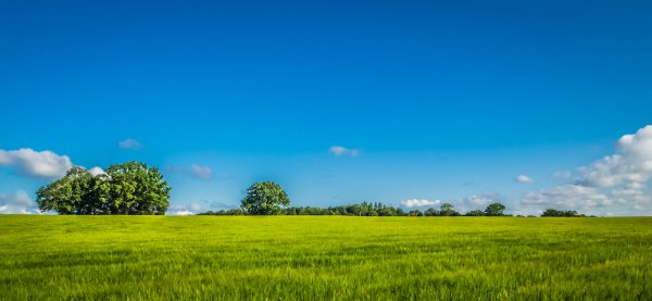 Красивые летние пейзажи