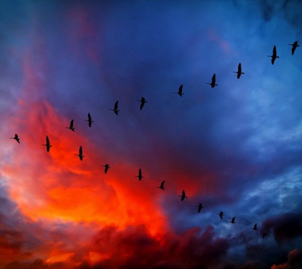 Журавлиный Клин осенью