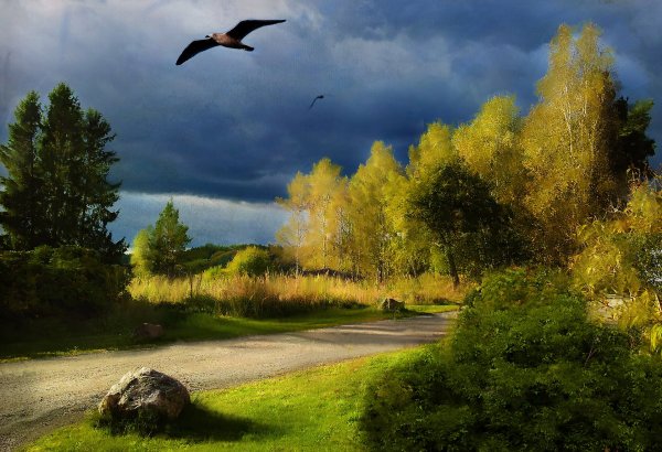 Журавль в небе