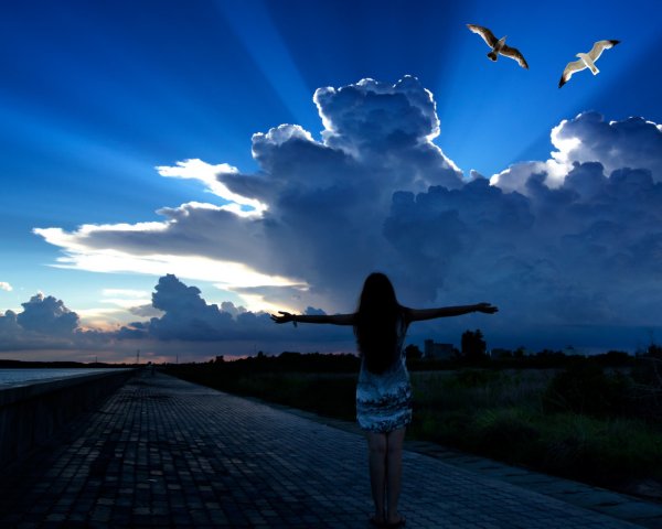 Небо Свобода