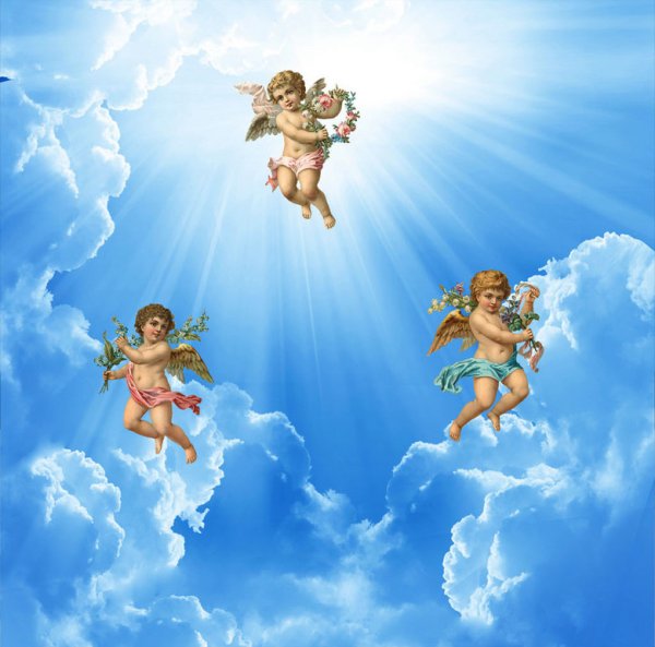 Крылья в небе