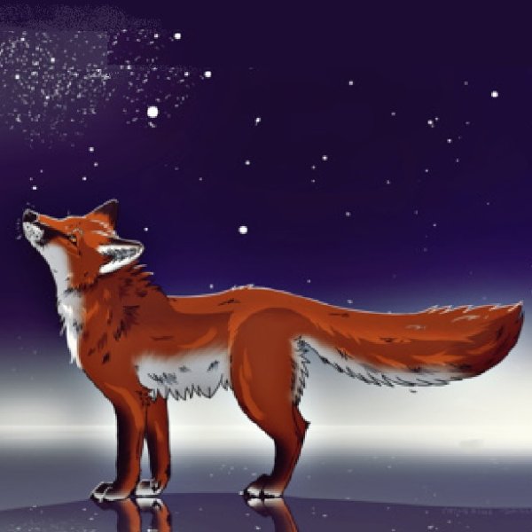 Лисенок со звездой