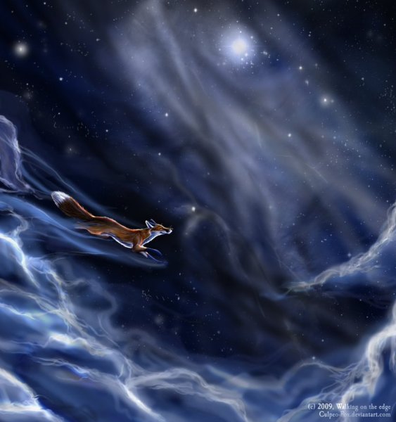 Лисенок со звездой