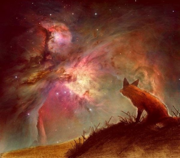Лиса космос арт