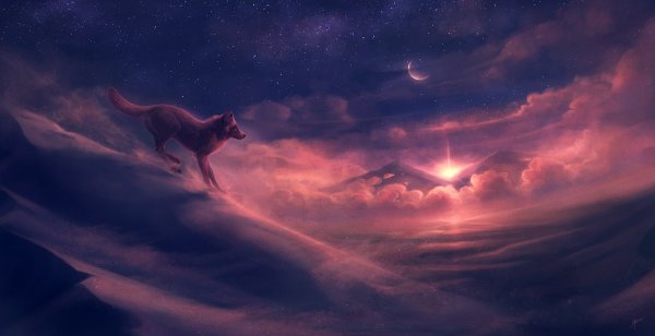 Волк на фоне звездного неба
