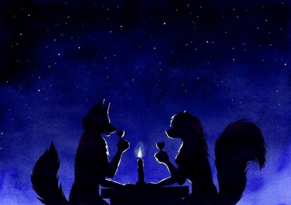 Лиса и звезды