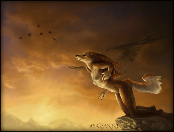 Волк в небе