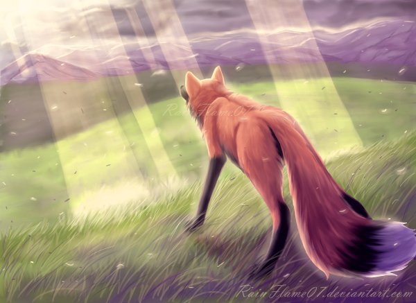 Лиса лето арт