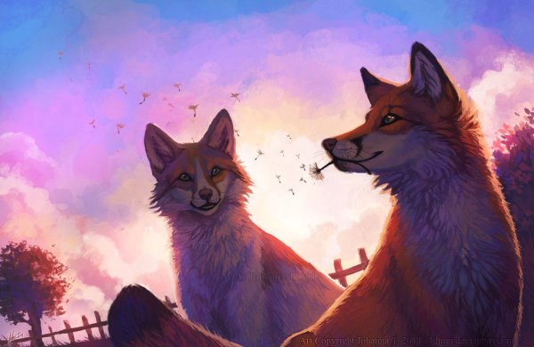 Лисы арты красивые