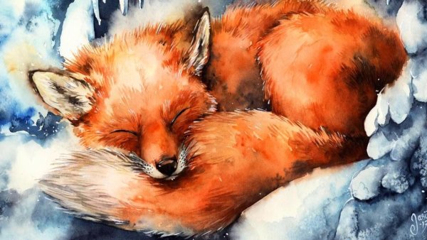 Лиса спит арт