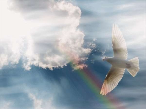 Голубь в облаках