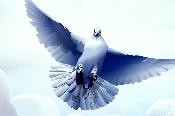 Стая голубей в небе