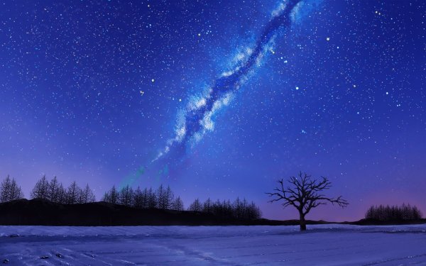 Зимнее ночное небо