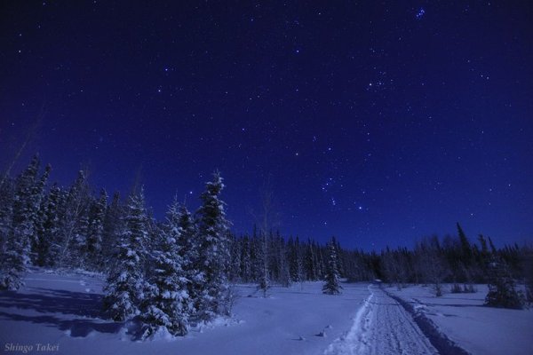 Зима ночь звезды