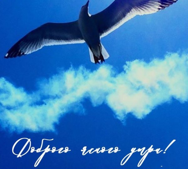С добрым утром мирного неба