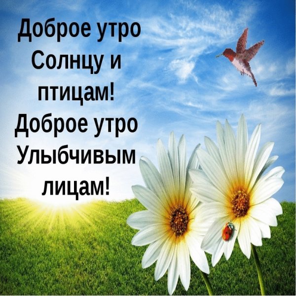 Добра с утра