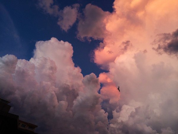 Красивое розовое небо