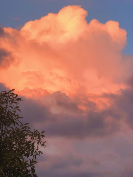 Эстетика голубая горизонтальная