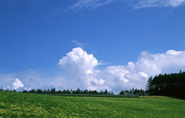 Небо и земля