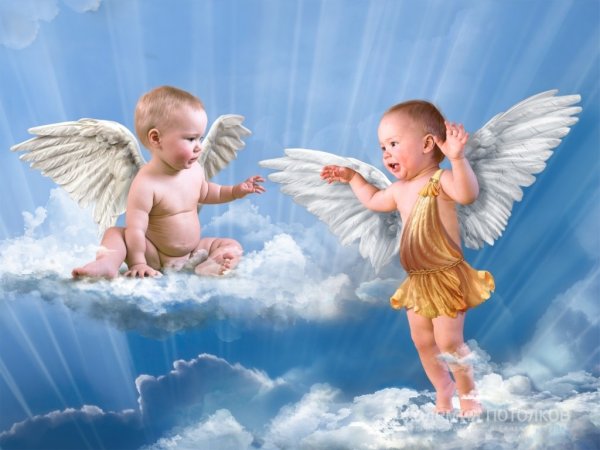Младенец ангел Небесный