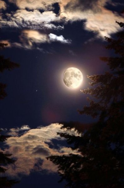 Ночное небо с луной