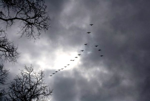 Журавлиный Клин храм